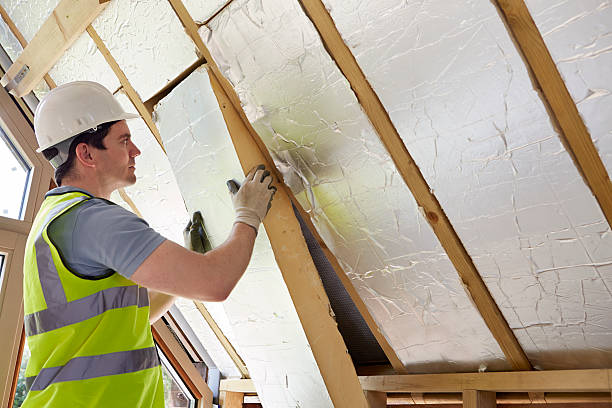 Best Insulation for Commercial Buildings  in Herculaneum, MO