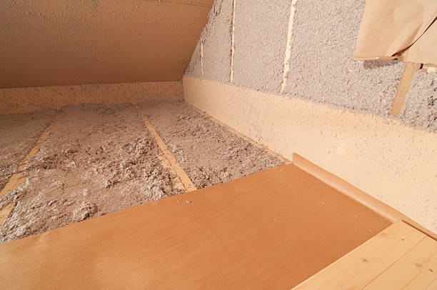 Best Energy-efficient Insulation  in Herculaneum, MO